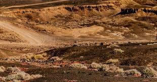 《龙腾世纪4》主角配音可选择英式或美式 目的是增强代入感